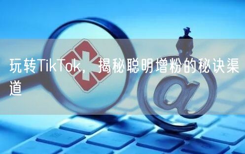 玩转TikTok，揭秘聪明增粉的秘诀渠道