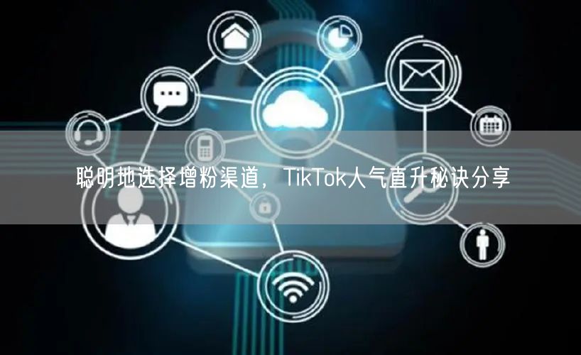 聪明地选择增粉渠道，TikTok人气直升秘诀分享
