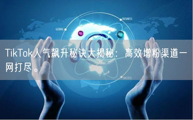 TikTok人气飙升秘诀大揭秘：高效增粉渠道一网打尽。