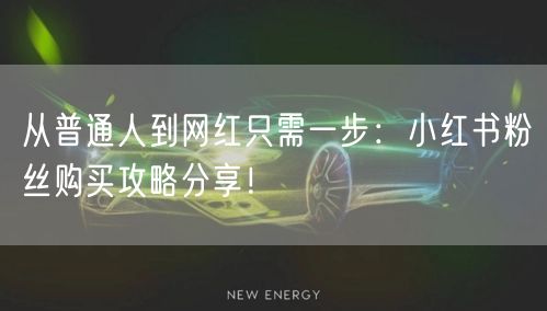 从普通人到网红只需一步：小红书粉丝购买攻略分享！