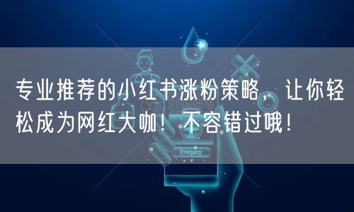 专业推荐的小红书涨粉策略，让你轻松成为网红大咖！不容错过哦！