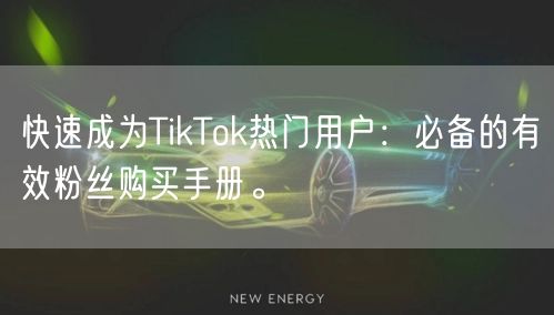 快速成为TikTok热门用户：必备的有效粉丝购买手册。