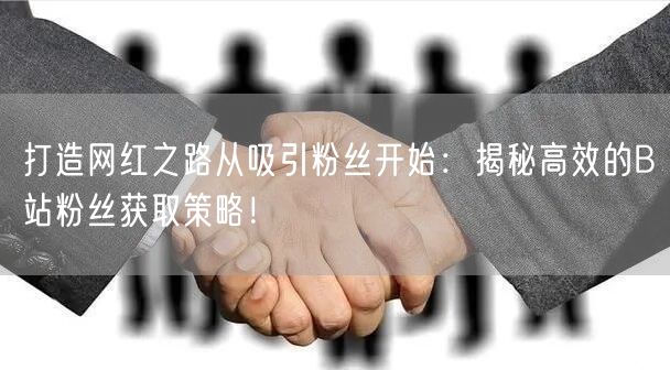 打造网红之路从吸引粉丝开始：揭秘高效的B站粉丝获取策略！