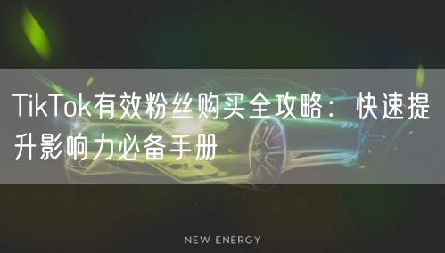 TikTok有效粉丝购买全攻略：快速提升影响力必备手册