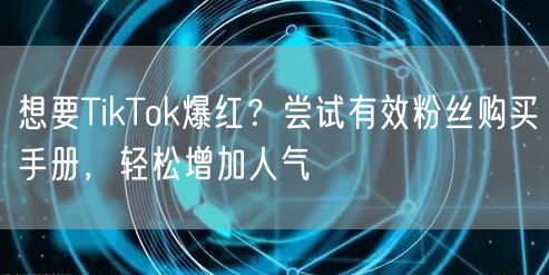 想要TikTok爆红？尝试有效粉丝购买手册，轻松增加人气