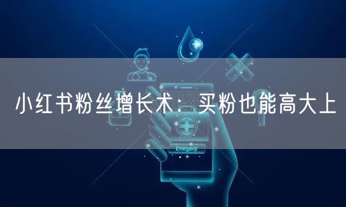 小红书粉丝增长术：买粉也能高大上