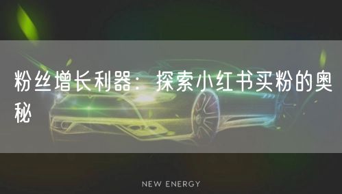 粉丝增长利器：探索小红书买粉的奥秘