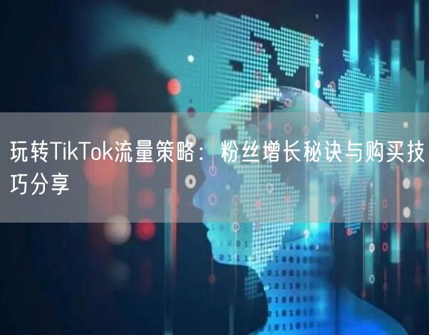 玩转TikTok流量策略：粉丝增长秘诀与购买技巧分享