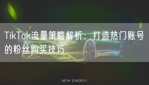 TikTok流量策略解析：打造热门账号的粉丝购买技巧