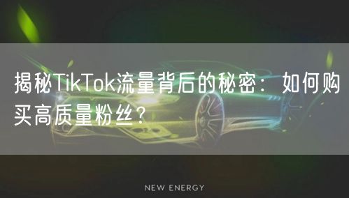 揭秘TikTok流量背后的秘密：如何购买高质量粉丝？