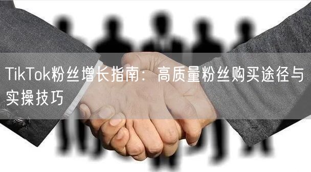 TikTok粉丝增长指南：高质量粉丝购买途径与实操技巧