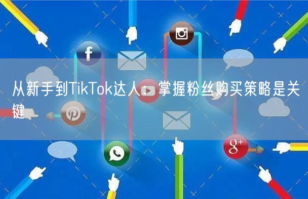 从新手到TikTok达人：掌握粉丝购买策略是关键