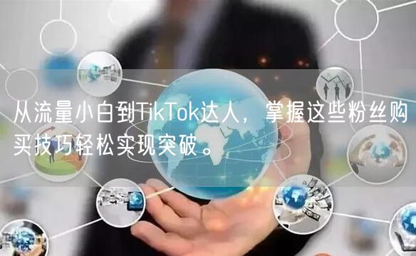 从流量小白到TikTok达人，掌握这些粉丝购买技巧轻松实现突破。