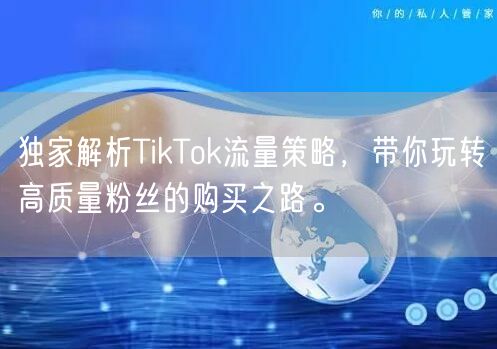 独家解析TikTok流量策略，带你玩转高质量粉丝的购买之路。
