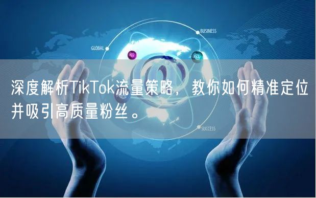 深度解析TikTok流量策略，教你如何精准定位并吸引高质量粉丝。
