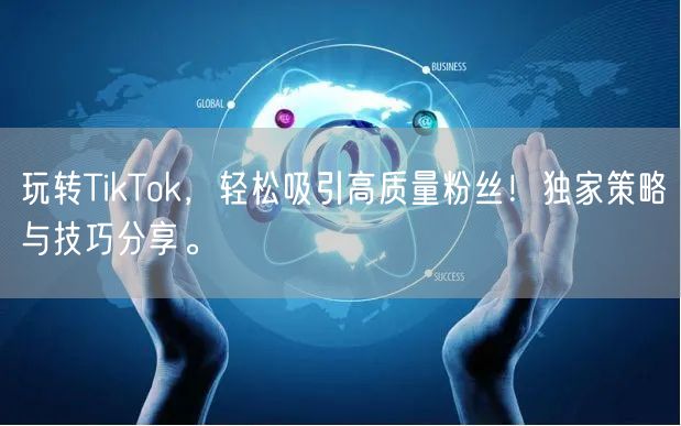 玩转TikTok，轻松吸引高质量粉丝！独家策略与技巧分享。