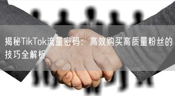 揭秘TikTok流量密码：高效购买高质量粉丝的技巧全解析