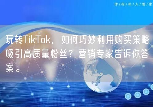 玩转TikTok，如何巧妙利用购买策略吸引高质量粉丝？营销专家告诉你答案。