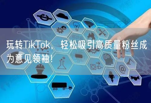 玩转TikTok，轻松吸引高质量粉丝成为意见领袖！