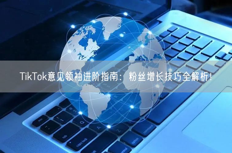 TikTok意见领袖进阶指南：粉丝增长技巧全解析！