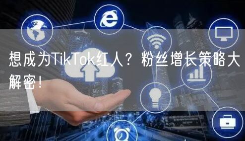 想成为TikTok红人？粉丝增长策略大解密！