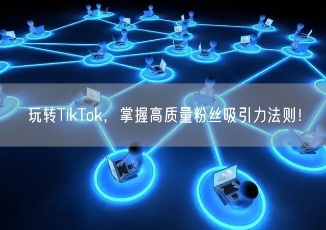 玩转TikTok，掌握高质量粉丝吸引力法则！