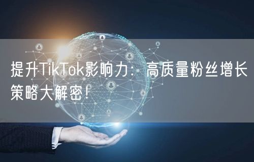 提升TikTok影响力：高质量粉丝增长策略大解密！