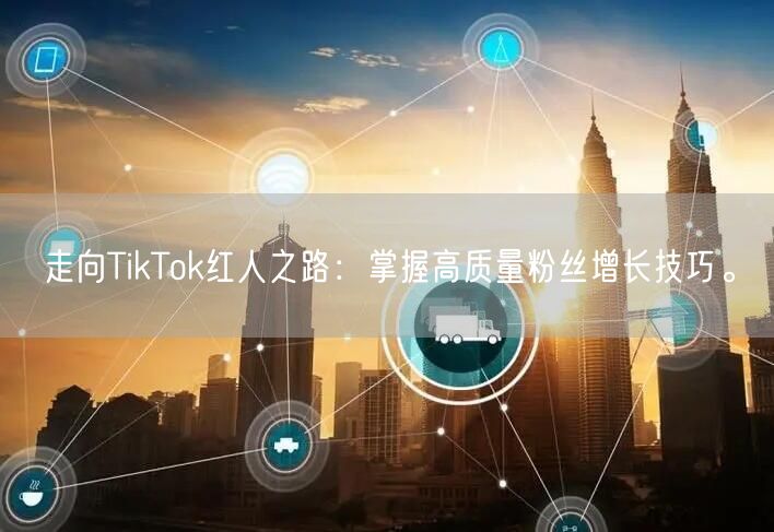 走向TikTok红人之路：掌握高质量粉丝增长技巧。