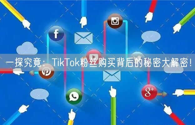 一探究竟：TikTok粉丝购买背后的秘密大解密！