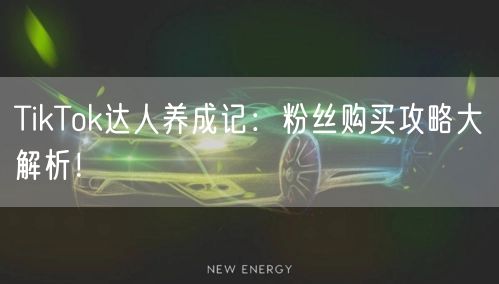 TikTok达人养成记：粉丝购买攻略大解析！