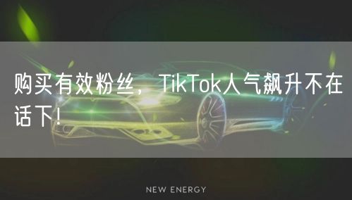 购买有效粉丝，TikTok人气飙升不在话下！