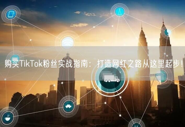 购买TikTok粉丝实战指南：打造网红之路从这里起步！