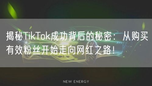 揭秘TikTok成功背后的秘密：从购买有效粉丝开始走向网红之路！