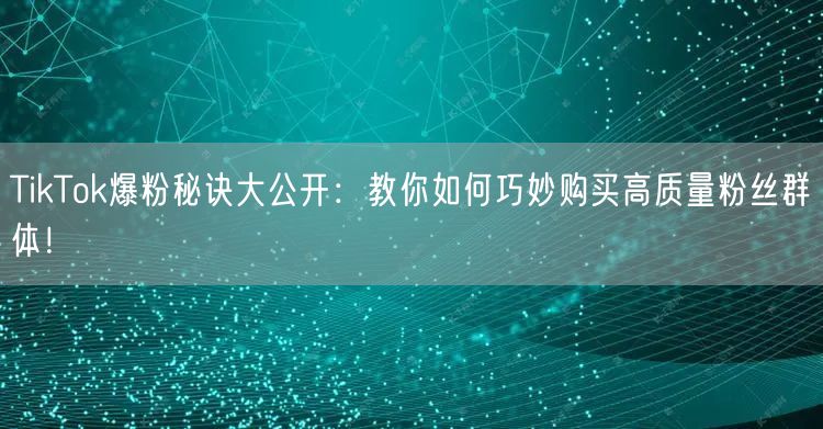 TikTok爆粉秘诀大公开：教你如何巧妙购买高质量粉丝群体！
