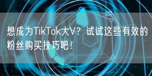 想成为TikTok大V？试试这些有效的粉丝购买技巧吧！