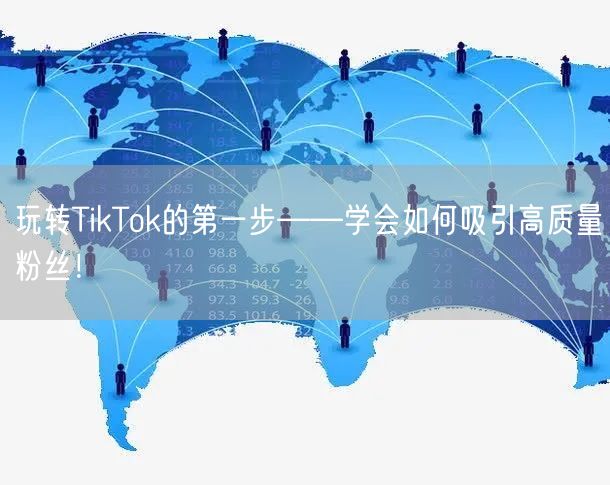 玩转TikTok的第一步——学会如何吸引高质量粉丝！
