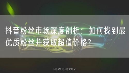 抖音粉丝市场深度剖析：如何找到最优质粉丝并获取超值价格?