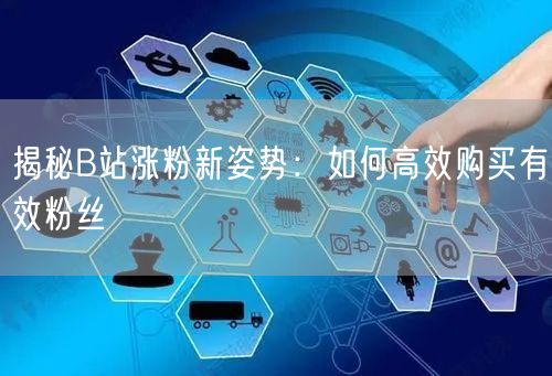 揭秘B站涨粉新姿势：如何高效购买有效粉丝