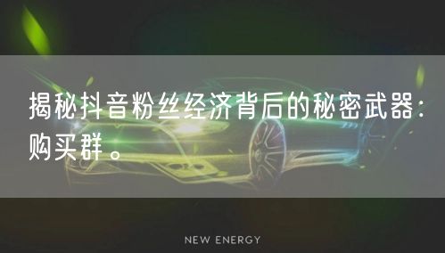 揭秘抖音粉丝经济背后的秘密武器：购买群。