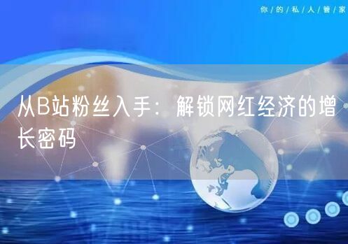 从B站粉丝入手：解锁网红经济的增长密码