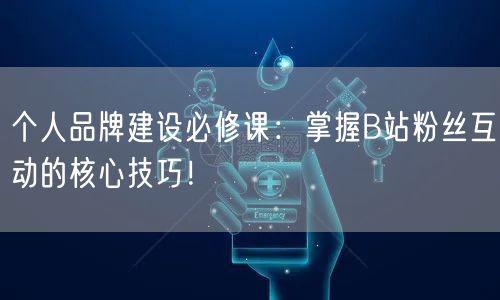 个人品牌建设必修课：掌握B站粉丝互动的核心技巧！