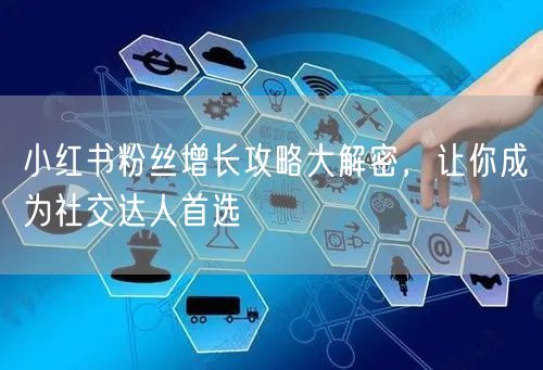 小红书粉丝增长攻略大解密，让你成为社交达人首选