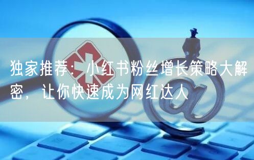 独家推荐：小红书粉丝增长策略大解密，让你快速成为网红达人