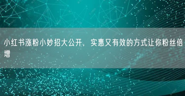 小红书涨粉小妙招大公开，实惠又有效的方式让你粉丝倍增