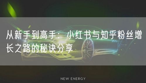 从新手到高手：小红书与知乎粉丝增长之路的秘诀分享