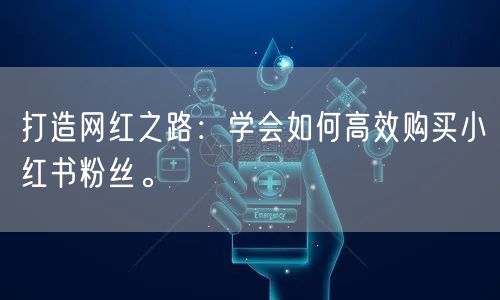 打造网红之路：学会如何高效购买小红书粉丝。