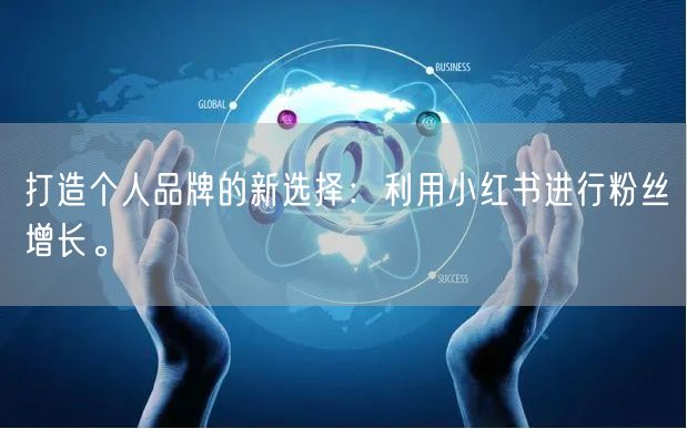 打造个人品牌的新选择：利用小红书进行粉丝增长。