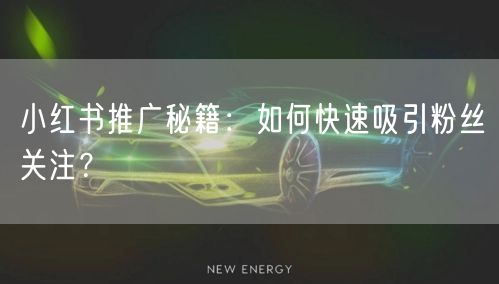 小红书推广秘籍：如何快速吸引粉丝关注？