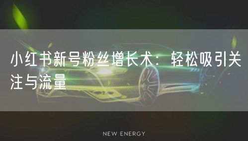 小红书新号粉丝增长术：轻松吸引关注与流量