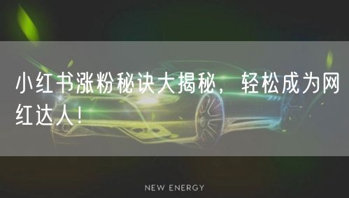 小红书涨粉秘诀大揭秘，轻松成为网红达人！